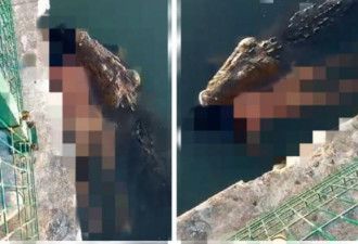 网疯传公园惊见鳄鱼拖浮尸游过 25岁男惨死