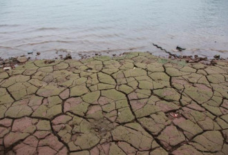 长江流域太旱了 河床裸露、泥土开裂竟成了这样