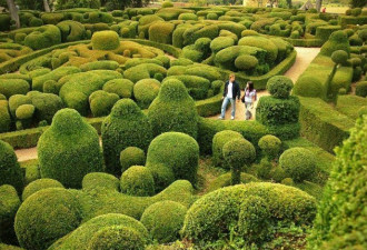 法国玛琪萨克花园  童话中的迷宫