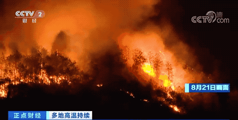 重庆被山火围城 最缺的不是水而是油锯