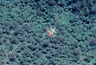 Google地图雨林惊见“客机坠毁”吓傻