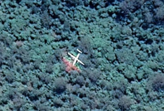 网友谷歌地图惊见“一架客机疑似坠雨林”
