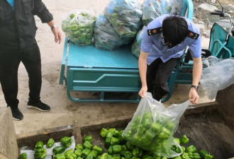 造谣200多万吨蔬菜因疫情被销毁 三亚男子被刑拘