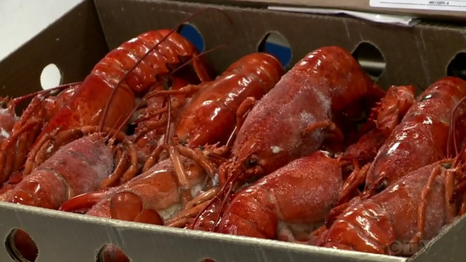 Lobster exports, prices soar in Atlantic Canada | CTV News