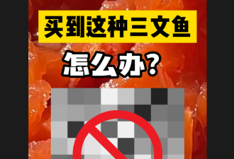 【视频】超市卖的鱼里有大量恶心活虫 还在蠕动！