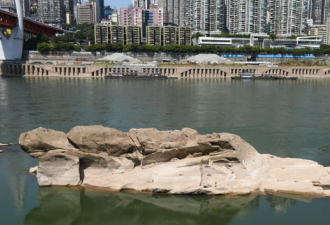 长江重庆段水位降低 千年“神龟”浮出水面