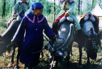 “中国最后一位女酋长”告别她的驯鹿和山林