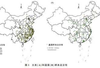 南京大学研究发布中国大米蔬菜重金属污染区域