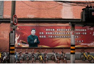 中共老党员联署反对党领导一切 20大前波涛汹涌