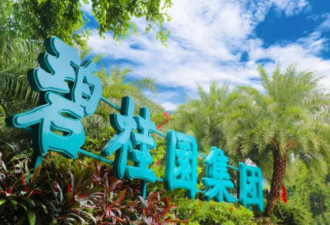 中国最大地产商碧桂园 上半年盈利暴跌96％
