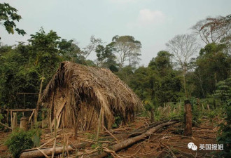 世界上最孤独的人过世!亚马逊土著被灭族