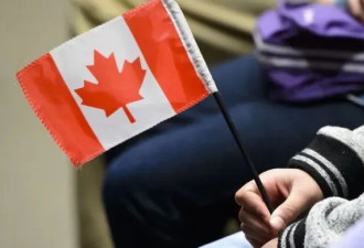加拿大要&quot;大赦&quot;！送50万黑工枫叶卡！移民部长官宣4大新变化！
