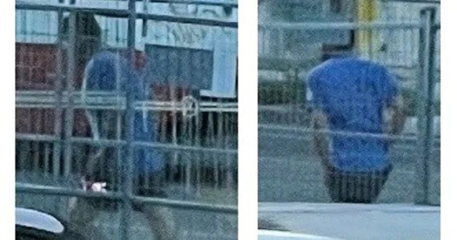 Man wearing Blue Jays shirt allegedly exposed himself to female runner:  police - Toronto | Globalnews.ca