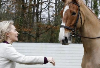 欧盟主席冯德莱恩心爱的小马被狼咬死了