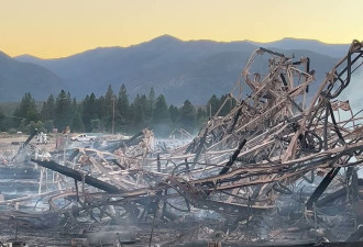加州大火1天烧毁1620公顷！州长宣布紧急状态