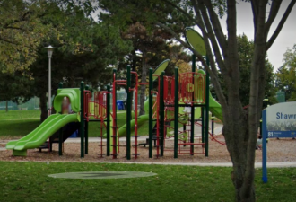多伦多华人遛娃遇袭：白人大妈在公园发狂扇人！