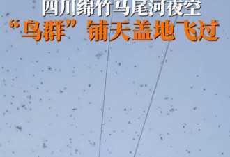 四川上空出现大量蝙蝠群 是地震的前兆