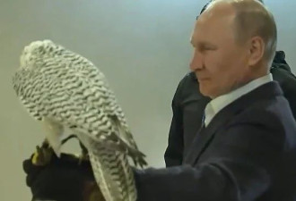俄罗斯总统普京大胆喂食猛禽 并开玩笑