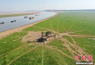 中国最大淡水湖千年石岛如今已“水落墩出”