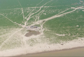 中国最大淡水湖进入极枯水位 江豚搁浅死亡