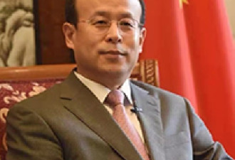 中国大使再放话:用中国法律惩罚台独份子