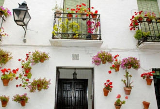西班牙小城科尔多瓦 一片花的海洋