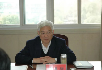 快讯：武汉副市长被开除党籍，曾遭举报
