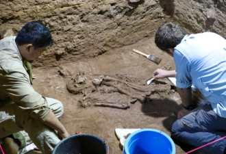 最早的截肢手术 3万年前化石改写医疗史