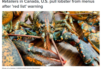华人超爱的海鲜“被禁”！一些加拿大餐厅或停止供应！