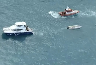 新西兰船倾覆事故致5死 当地市长称&quot;被鲸鱼掀翻&quot;