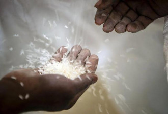 印度突然对大米下手 想吃印度米 得先给交20%税