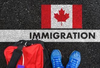 加拿大半年迎1.6万中国移民，不及印度移民四分之一，难民暴增！