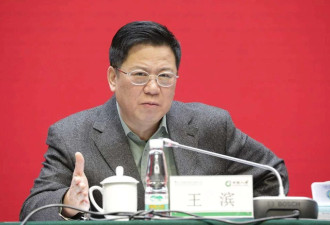 对中国人寿原党委书记王滨决定逮捕