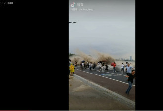 农历8月18钱塘江最大潮 大浪追着游客拍