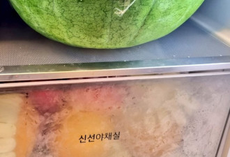 文在寅切的西瓜被吐槽没熟 是韩国特产