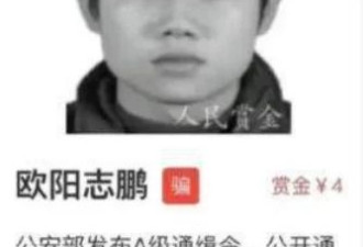 撞脸通缉犯了怎么办？我该自首还是整容