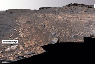 10年后带回地球！美火星车发现古生物有机分子
