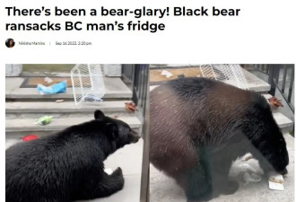吓惨！加拿大男子惊爆：黑熊溜进家里偷食物！还洗劫了冰箱！