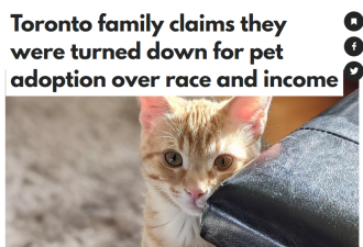 多伦多华人家庭领养小猫被拒：因“收入低、中国人”惨遭羞辱