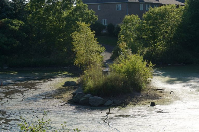 Twickenham pond drain