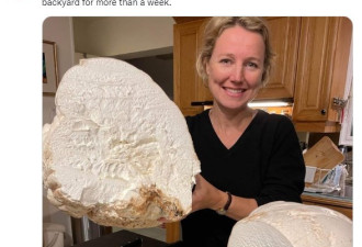 惊呆！加拿大女子自家后院发现6公斤重巨型蘑菇！一周都吃不完！