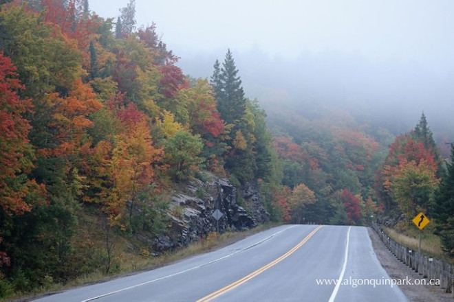 Rainy conditions at km 13 of Highway 60 in Algonquin Park on September 27, 2021