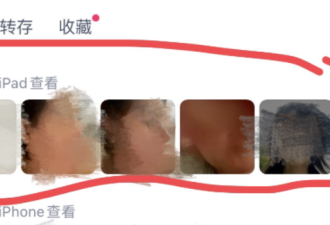 全网愤怒，这个导演恶心了多少人？