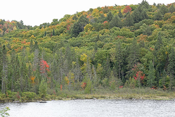 Brewer Lake (Highway 60 at km 48) in Algonquin Park on September 20, 2022