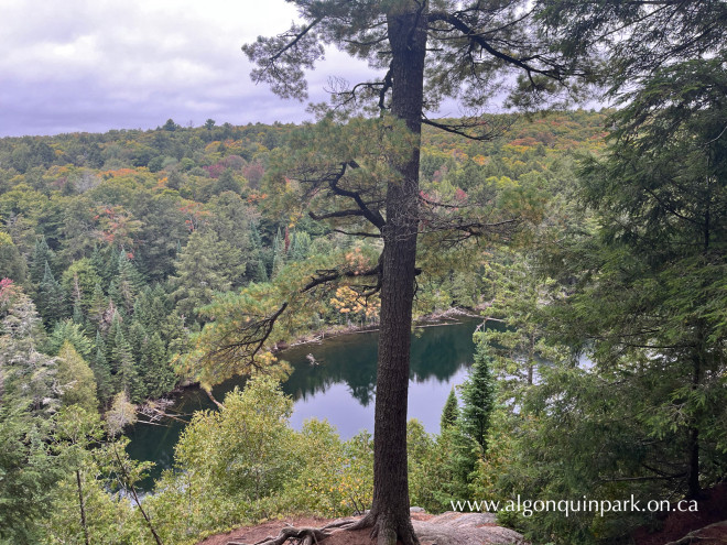 Fall colour at Hemlock Bluff Trail in Algonquin Park on September 17, 2022.