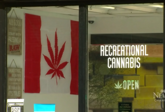 加拿大政府宣布启动《大麻法》审查！业界呼吁采取行动