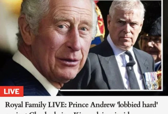 多家英媒报道一则王室爆料 查尔斯弟弟密谋夺权