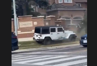 【视频】大多伦多司机被警车拦下 突然发狂撞上人行道