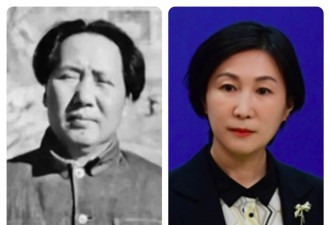 外交部新任发言人毛宁 从族谱看 是毛泽东堂妹？