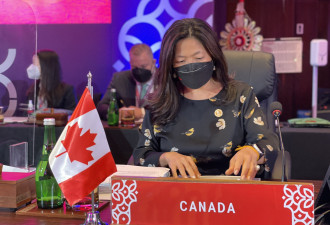 部长出席G20贸易及投资部长会议，增强加拿大的全球贸易联系